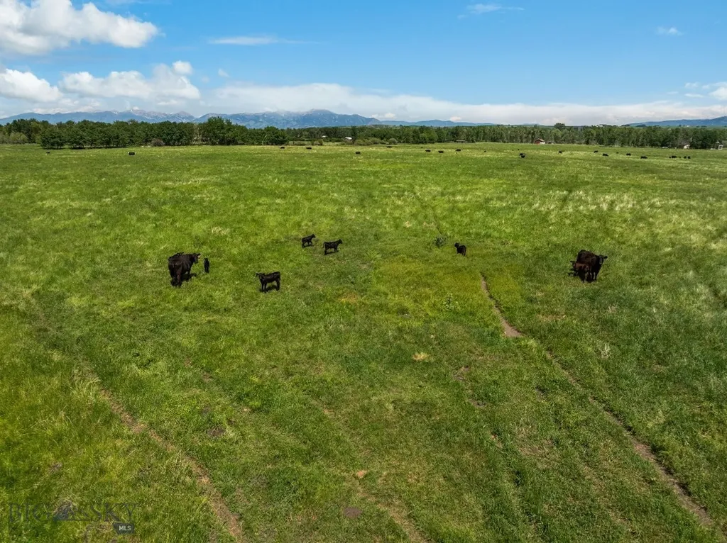 Nhn Cottontail Road Bozeman MT 59718