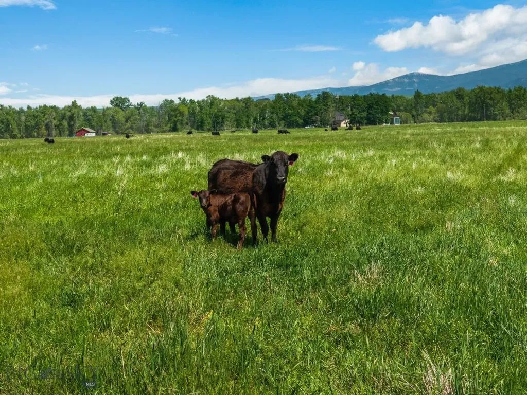 Nhn Cottontail Road Bozeman MT 59718
