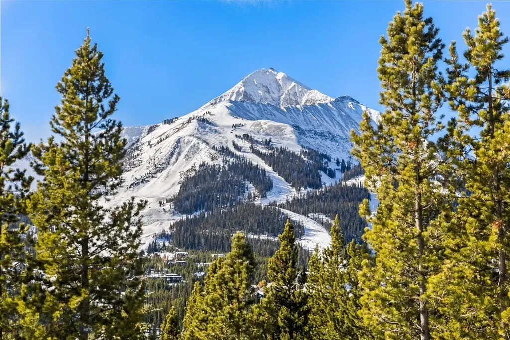 17 Swift Bear Big Sky MT 59716