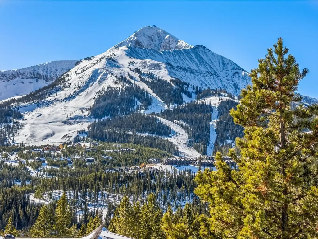 17 Swift Bear Big Sky MT 59716