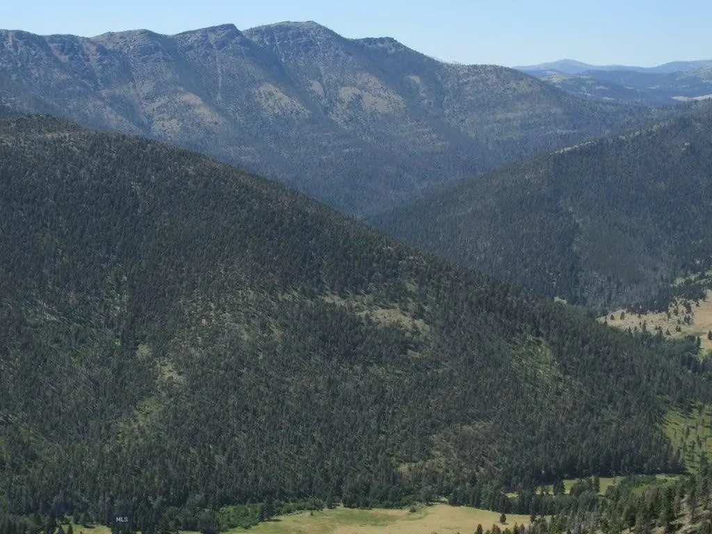Tbd Bear Track Road Wolf Creek MT 59648