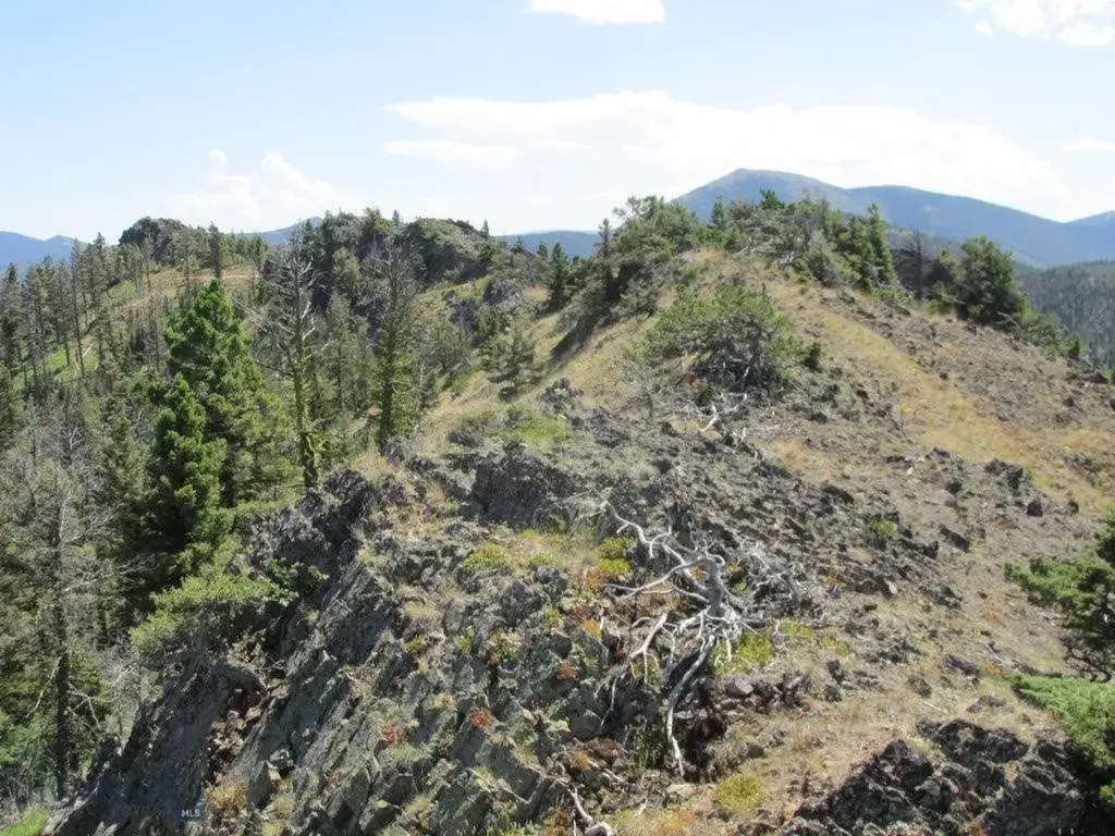 Tbd Bear Track Road Wolf Creek MT 59648