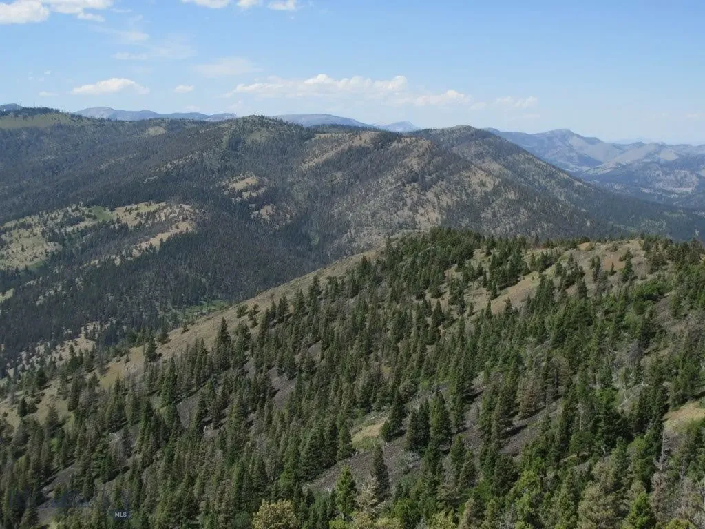 Tbd Bear Track Road Wolf Creek MT 59648