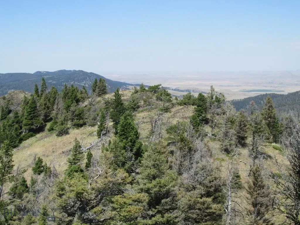 Tbd Bear Track Road Wolf Creek MT 59648