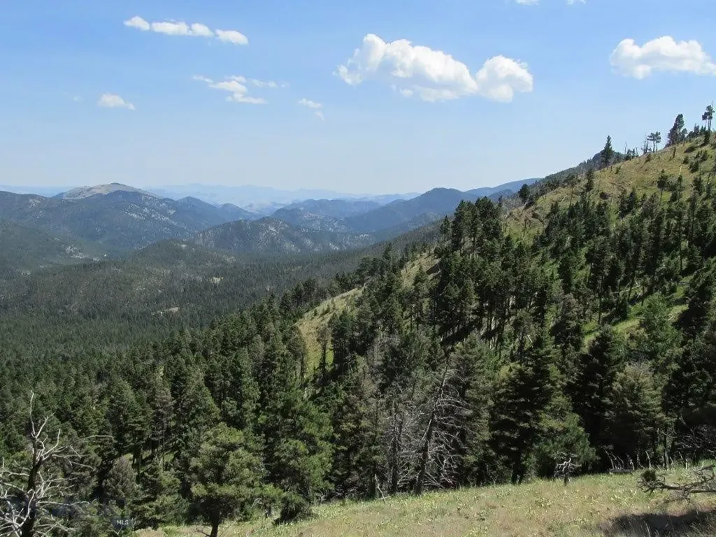 Tbd Bear Track Road Wolf Creek MT 59648