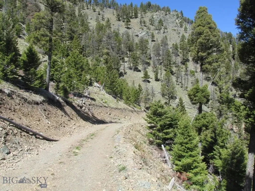 Tbd Bear Track Road Wolf Creek MT 59648