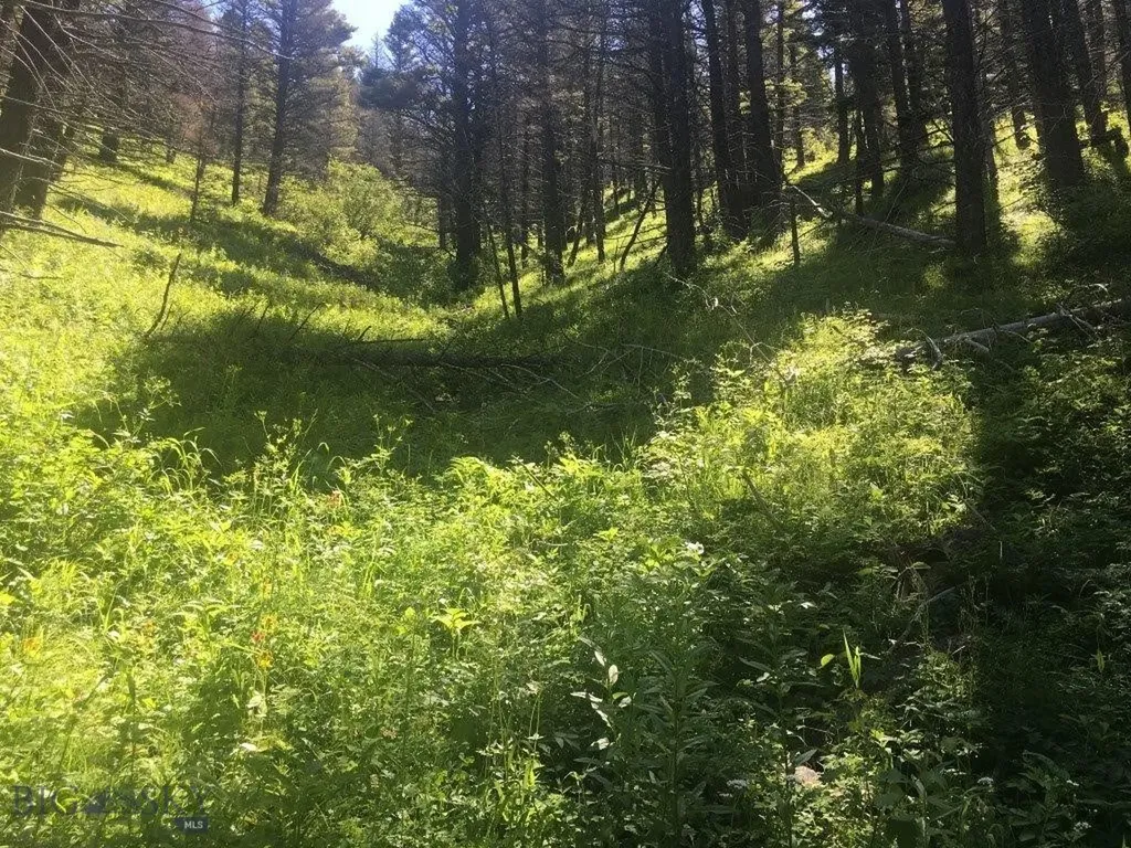 Tbd Bear Track Road Wolf Creek MT 59648