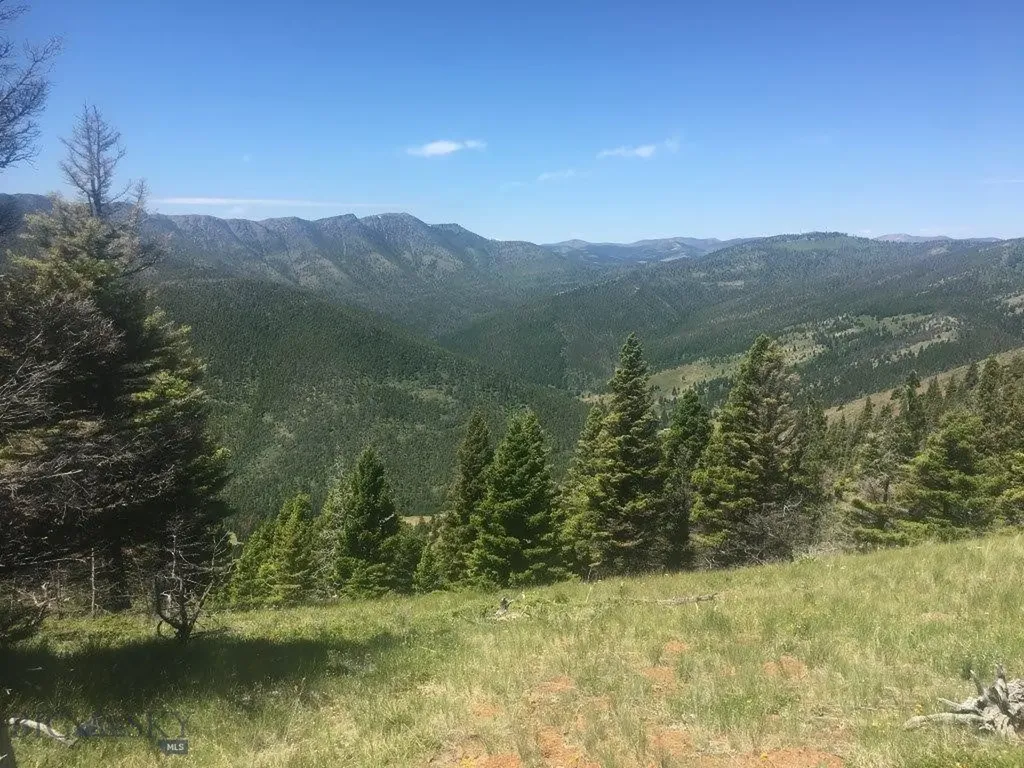Tbd Bear Track Road Wolf Creek MT 59648