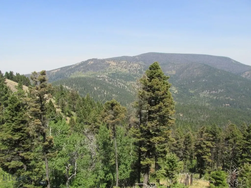 Tbd Bear Track Road Wolf Creek MT 59648