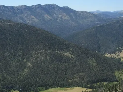 TBD Bear Track Road Wolf Creek MT 59648
