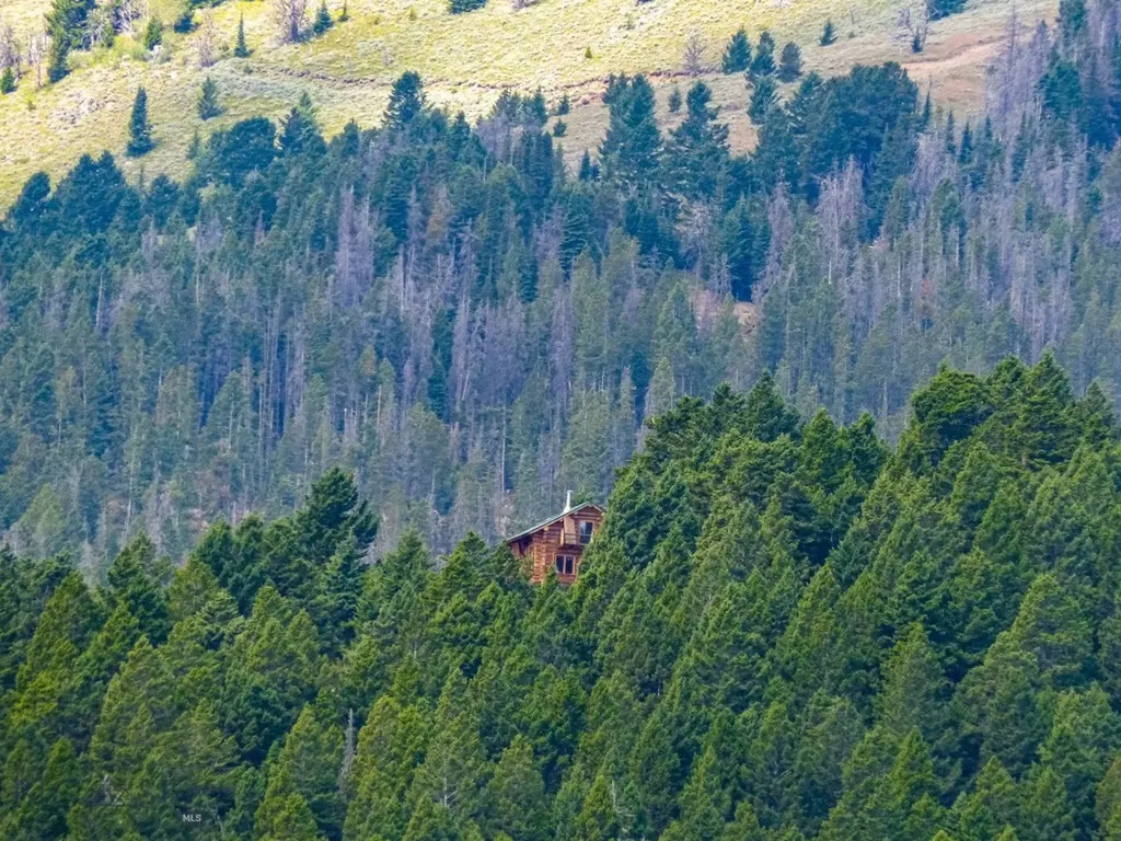 Nhn (160 Acres) Charcoal Creek Pony MT 59747