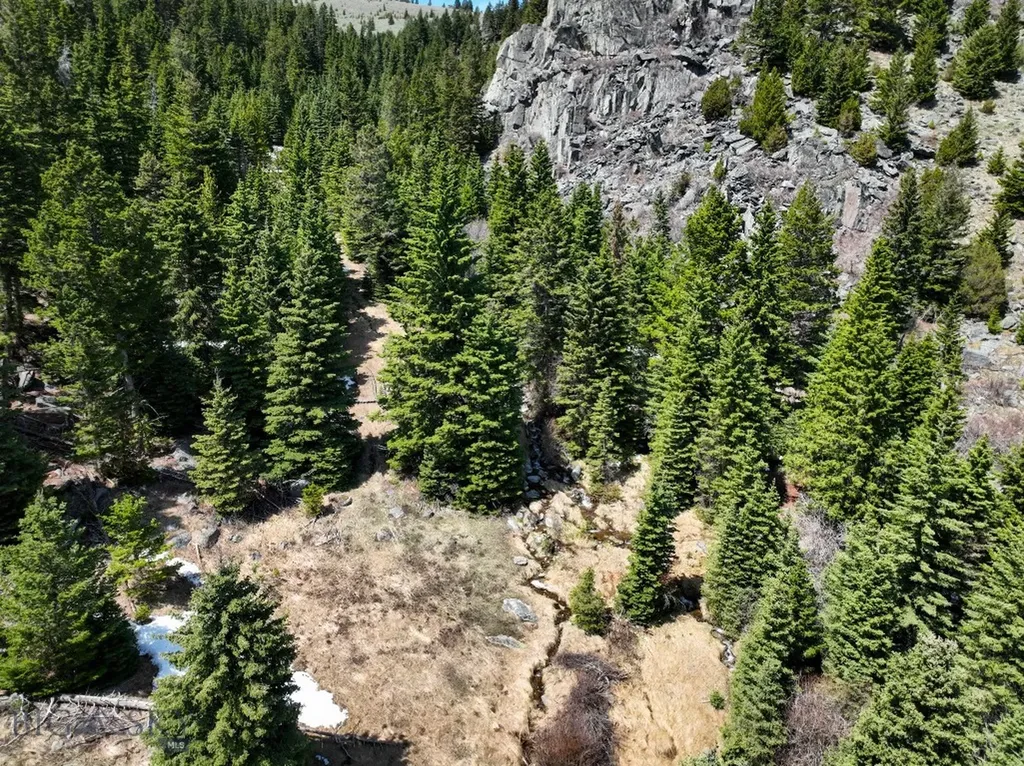 Nhn (160 Acres) Charcoal Creek Pony MT 59747