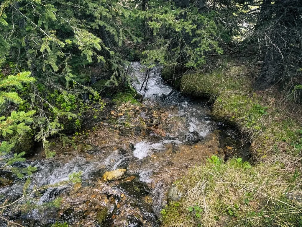 Nhn (160 Acres) Charcoal Creek Pony MT 59747
