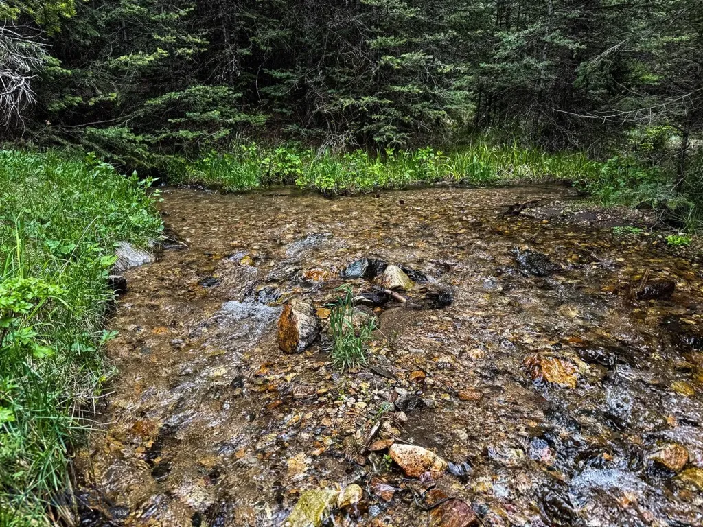 Nhn (160 Acres) Charcoal Creek Pony MT 59747