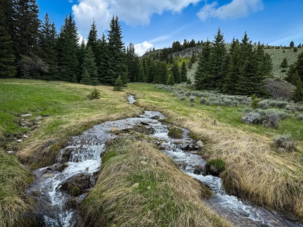 Nhn (160 Acres) Charcoal Creek Pony MT 59747