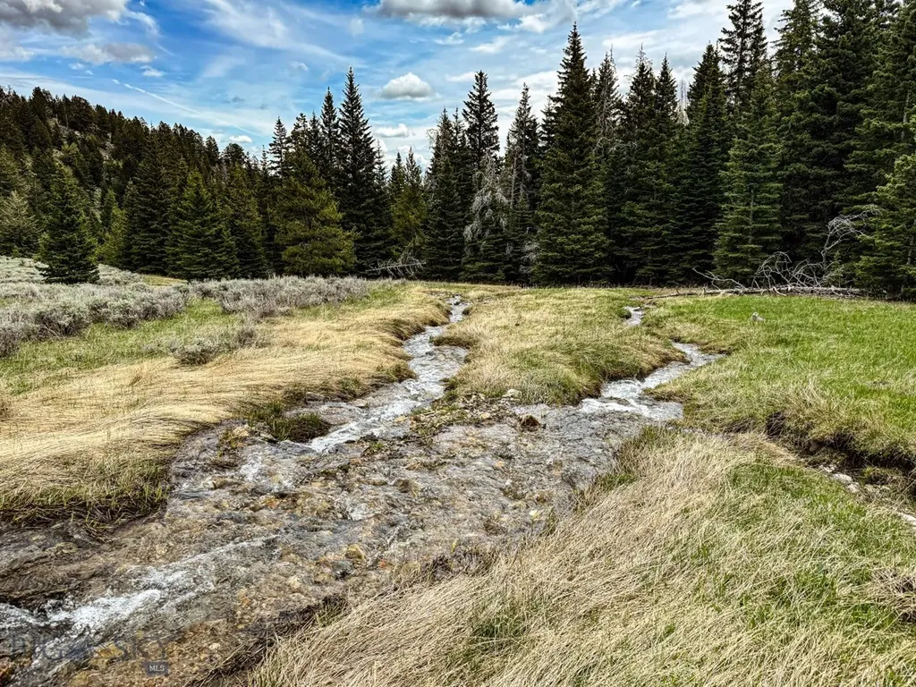 Nhn (160 Acres) Charcoal Creek Pony MT 59747
