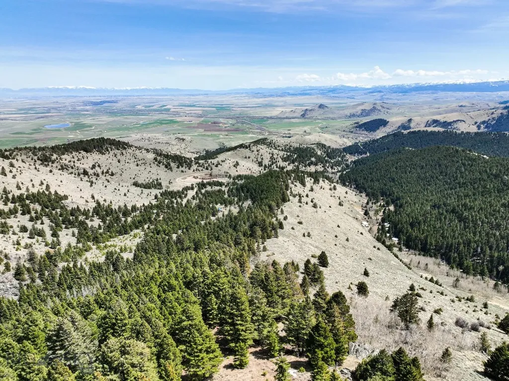 Nhn (160 Acres) Charcoal Creek Pony MT 59747