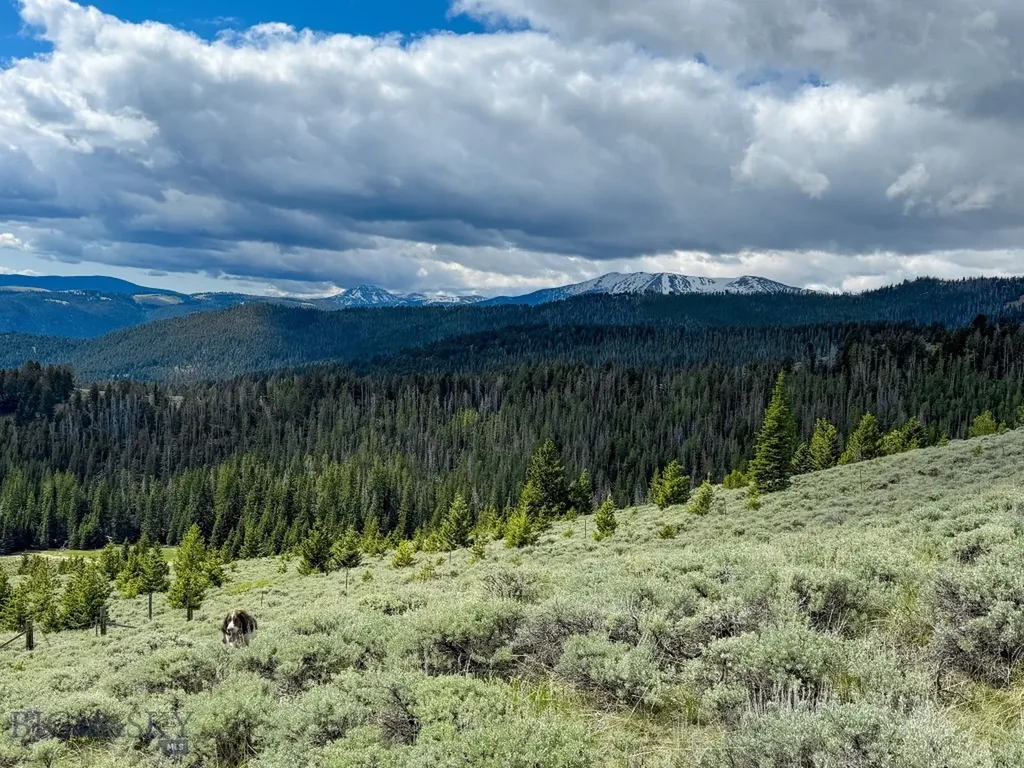 Nhn (160 Acres) Charcoal Creek Pony MT 59747