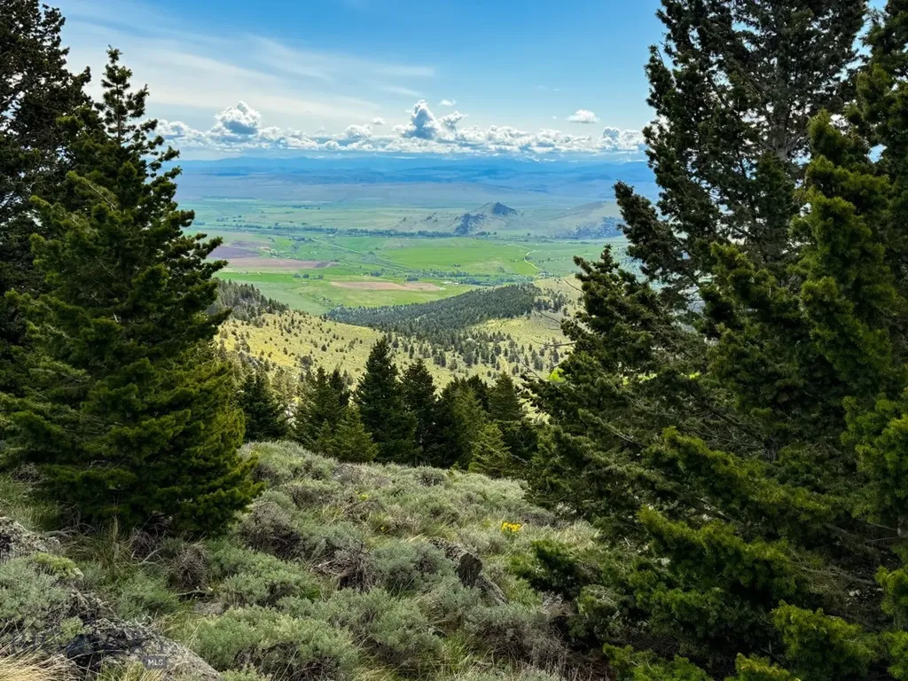 Nhn (160 Acres) Charcoal Creek Pony MT 59747