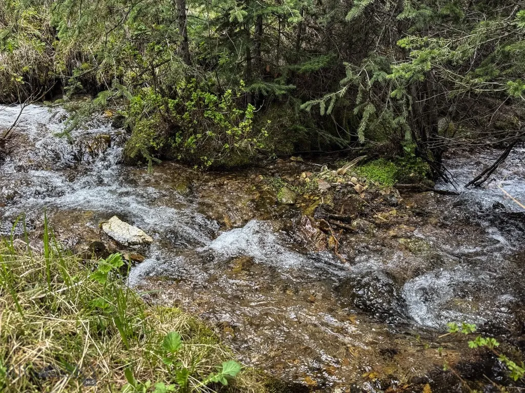 Nhn (160 Acres) Charcoal Creek Pony MT 59747