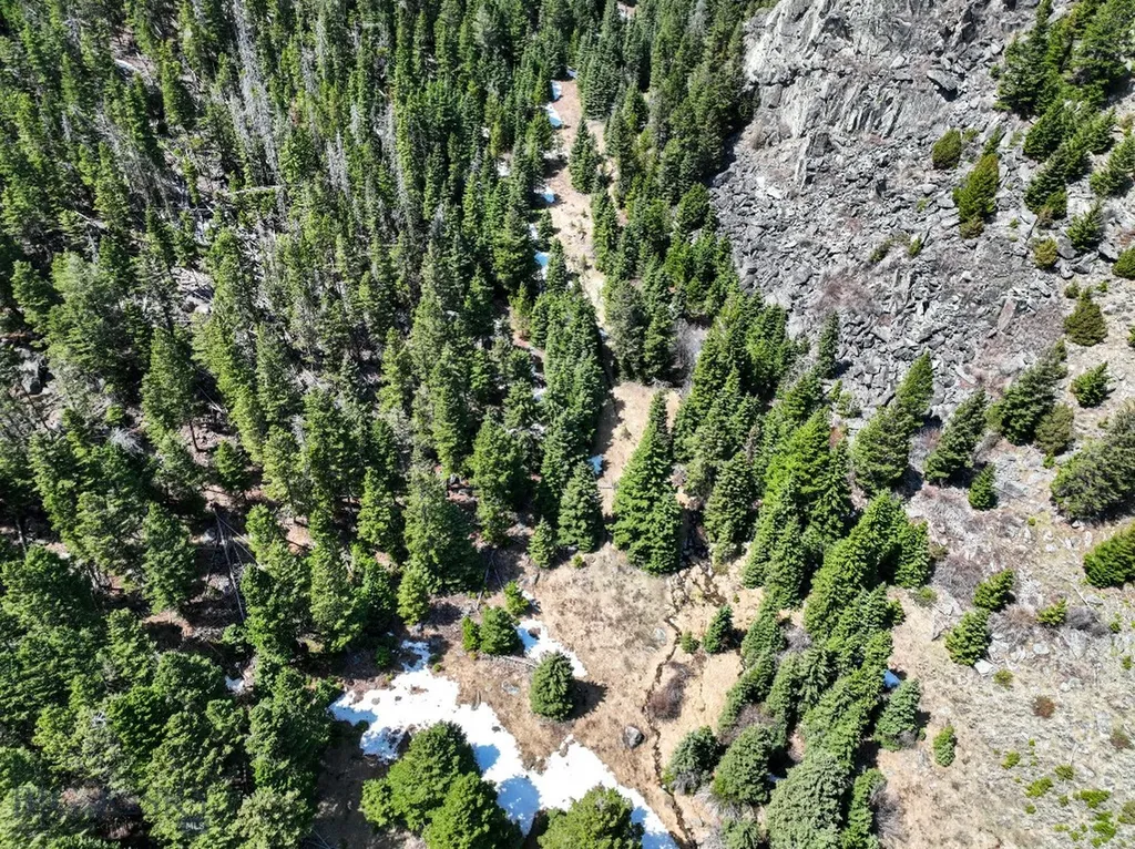 Nhn (160 Acres) Charcoal Creek Pony MT 59747