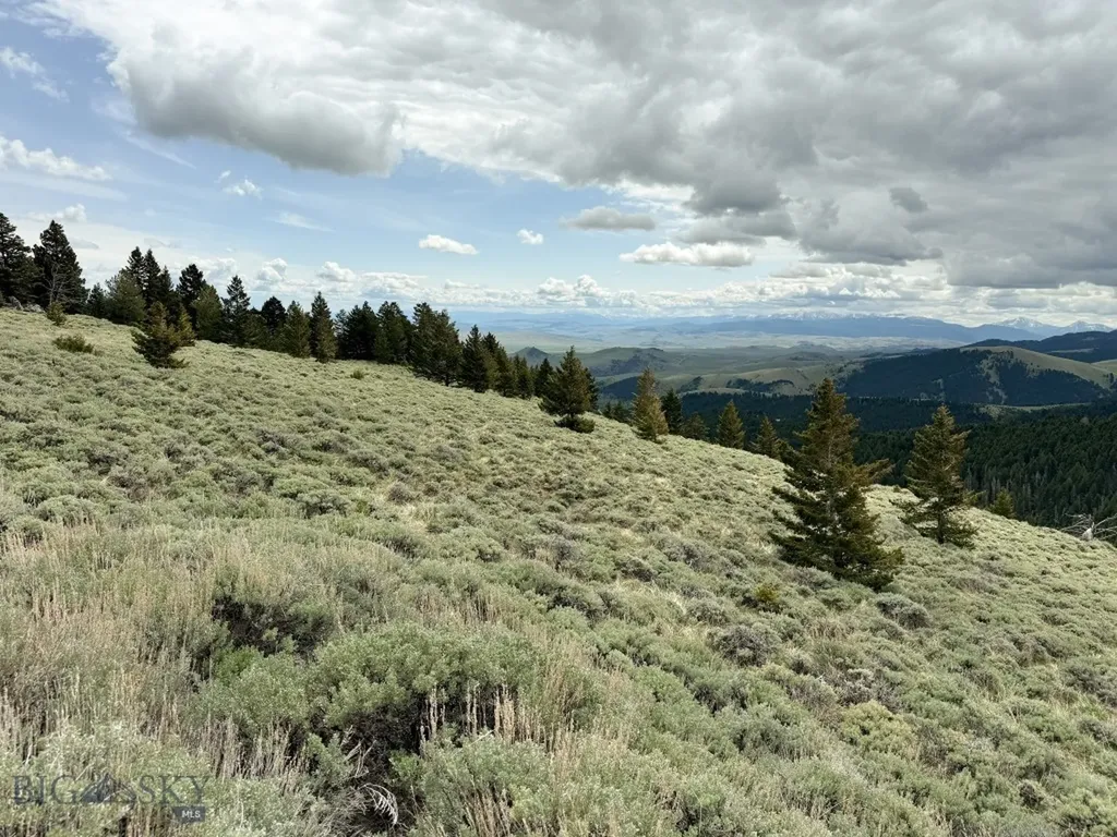 Nhn (160 Acres) Charcoal Creek Pony MT 59747