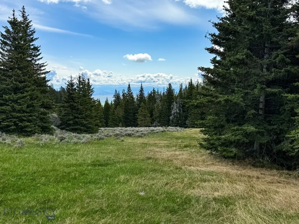Nhn (160 Acres) Charcoal Creek Pony MT 59747