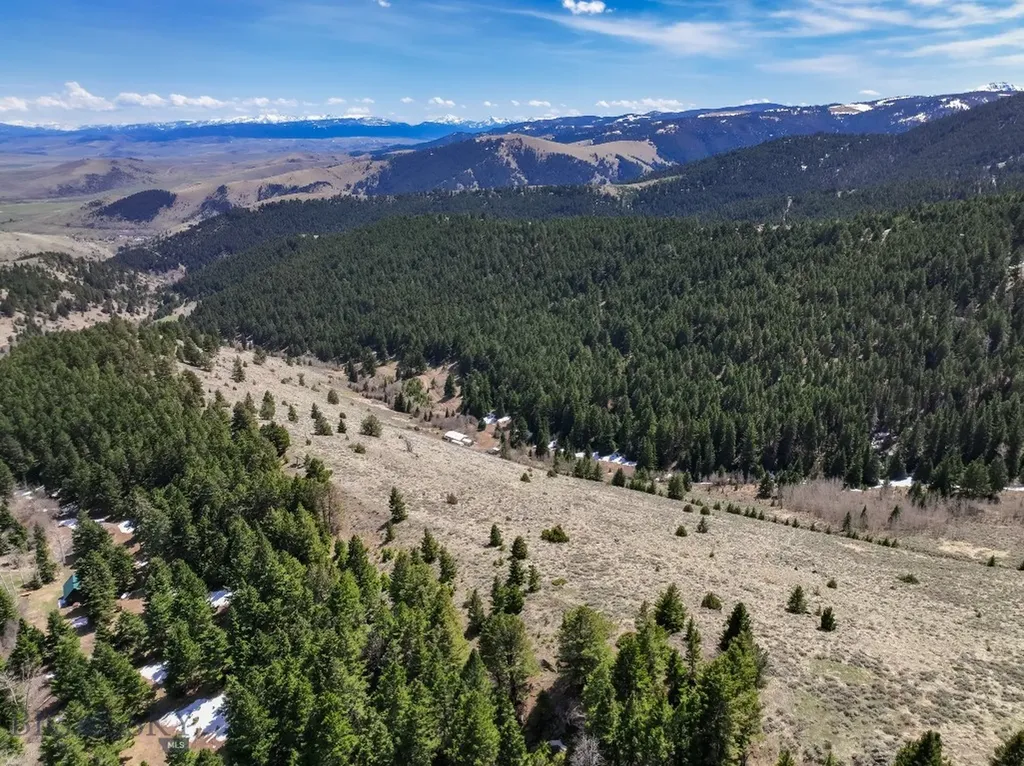 Nhn (160 Acres) Charcoal Creek Pony MT 59747