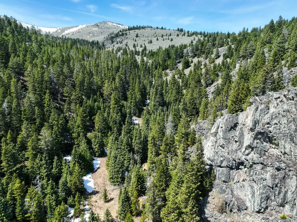 Nhn (160 Acres) Charcoal Creek Pony MT 59747