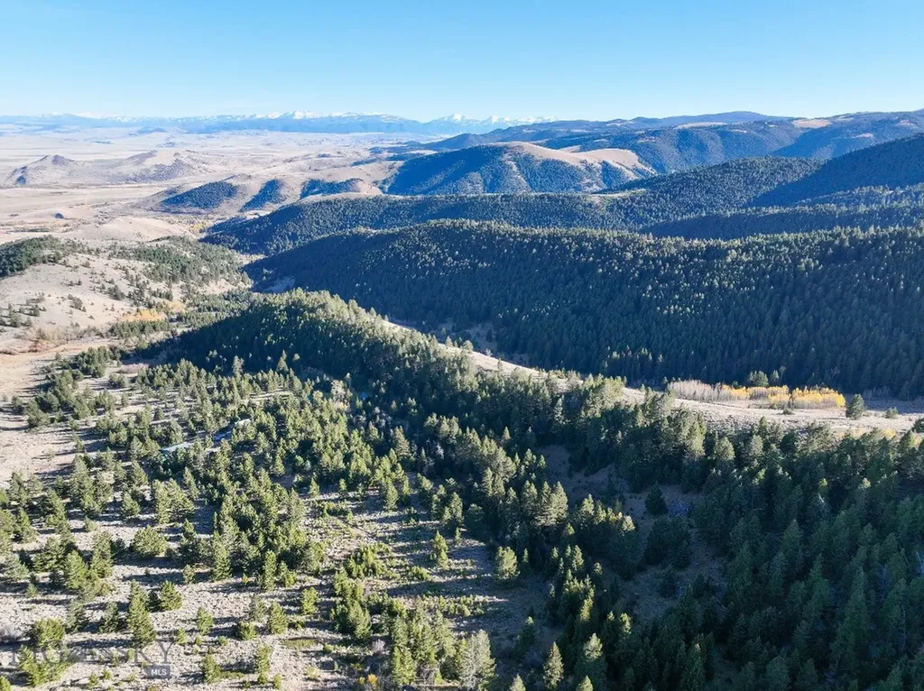 Nhn (160 Acres) Charcoal Creek Pony MT 59747