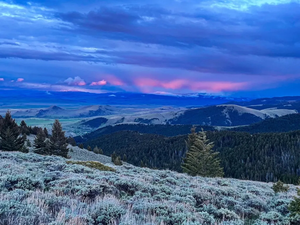 Nhn (160 Acres) Charcoal Creek Pony MT 59747