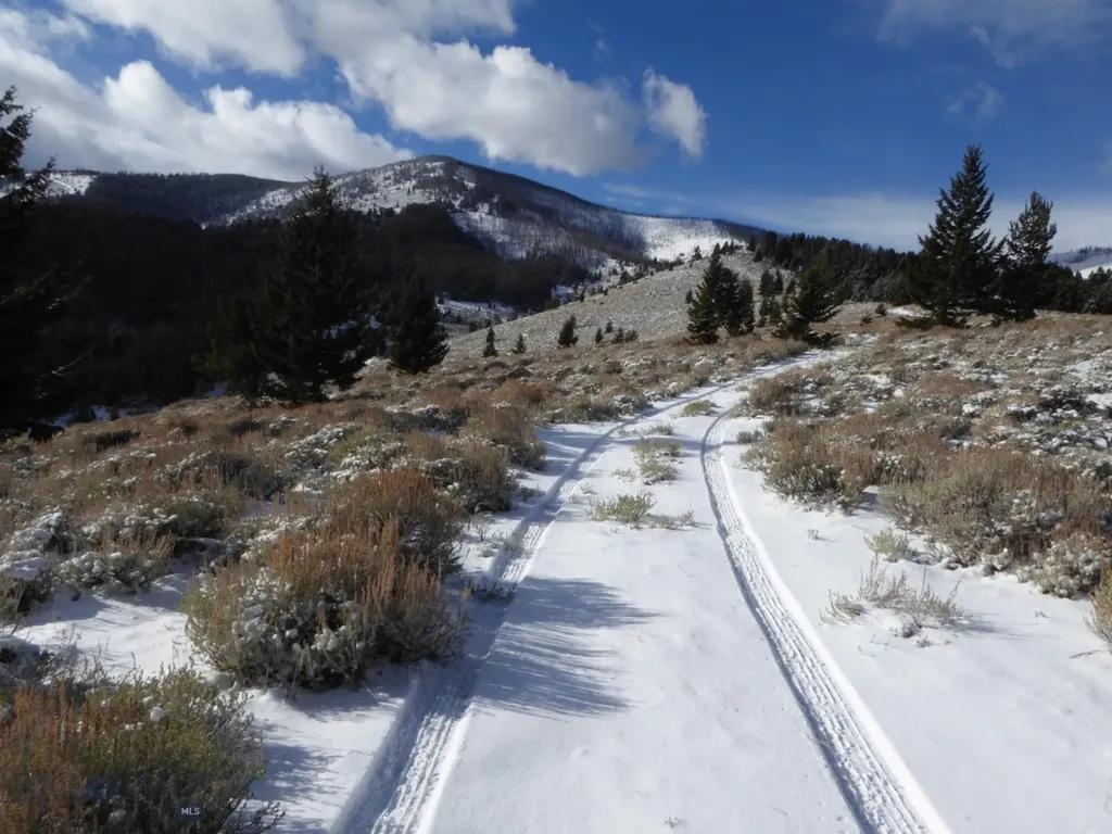 Nhn (160 Acres) Charcoal Creek Pony MT 59747