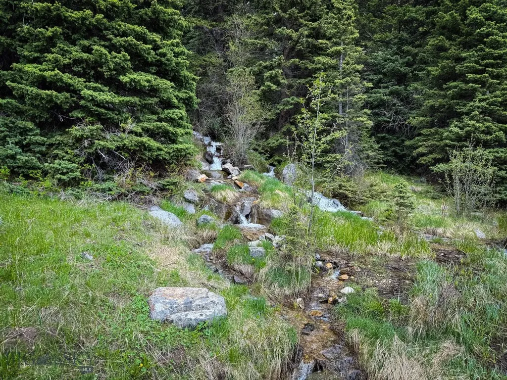 Nhn (160 Acres) Charcoal Creek Pony MT 59747