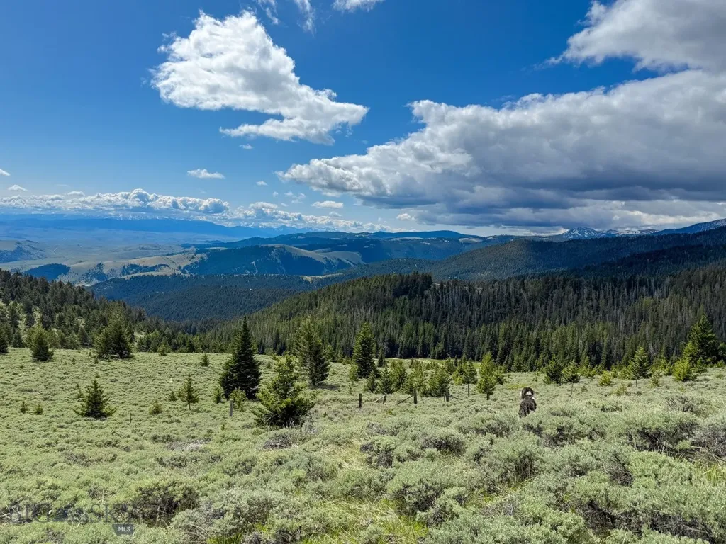 Nhn (160 Acres) Charcoal Creek Pony MT 59747