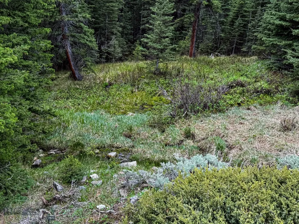 Nhn (160 Acres) Charcoal Creek Pony MT 59747