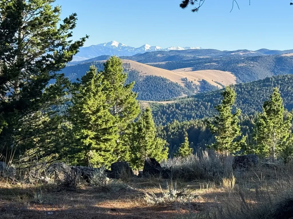 Nhn (160 Acres) Charcoal Creek Pony MT 59747