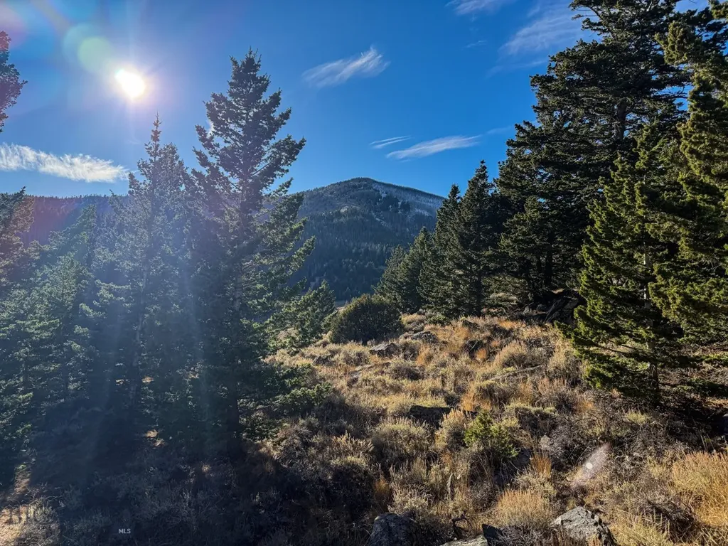 Nhn (160 Acres) Charcoal Creek Pony MT 59747