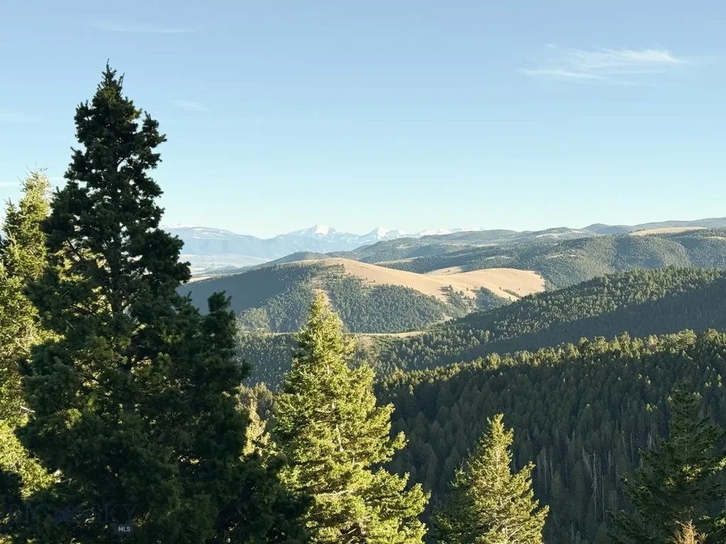 Nhn (160 Acres) Charcoal Creek Pony MT 59747