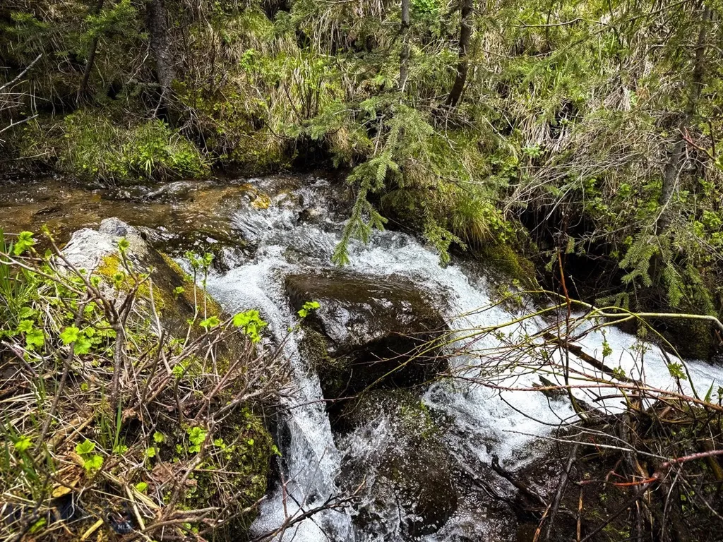 Nhn (160 Acres) Charcoal Creek Pony MT 59747