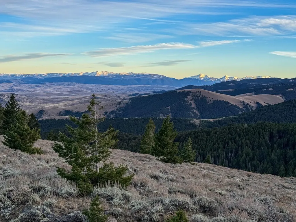 Nhn (160 Acres) Charcoal Creek Pony MT 59747