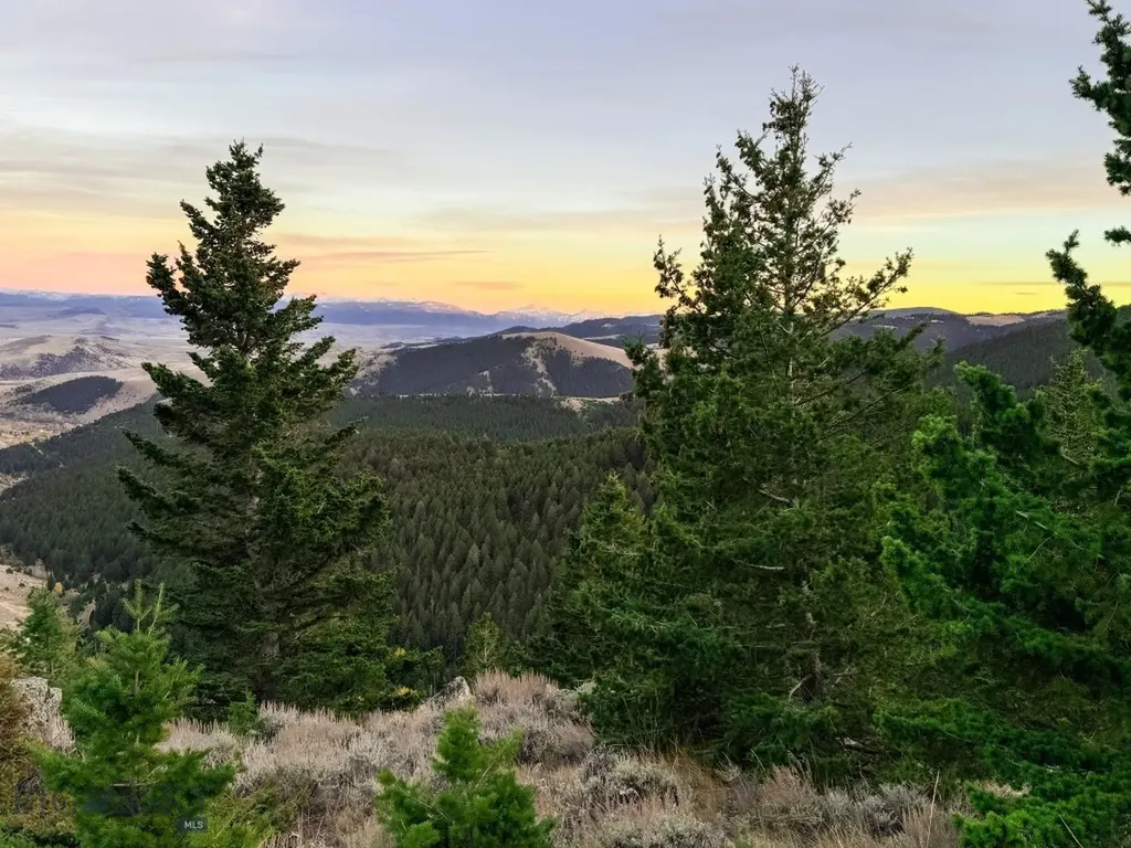 Nhn (160 Acres) Charcoal Creek Pony MT 59747