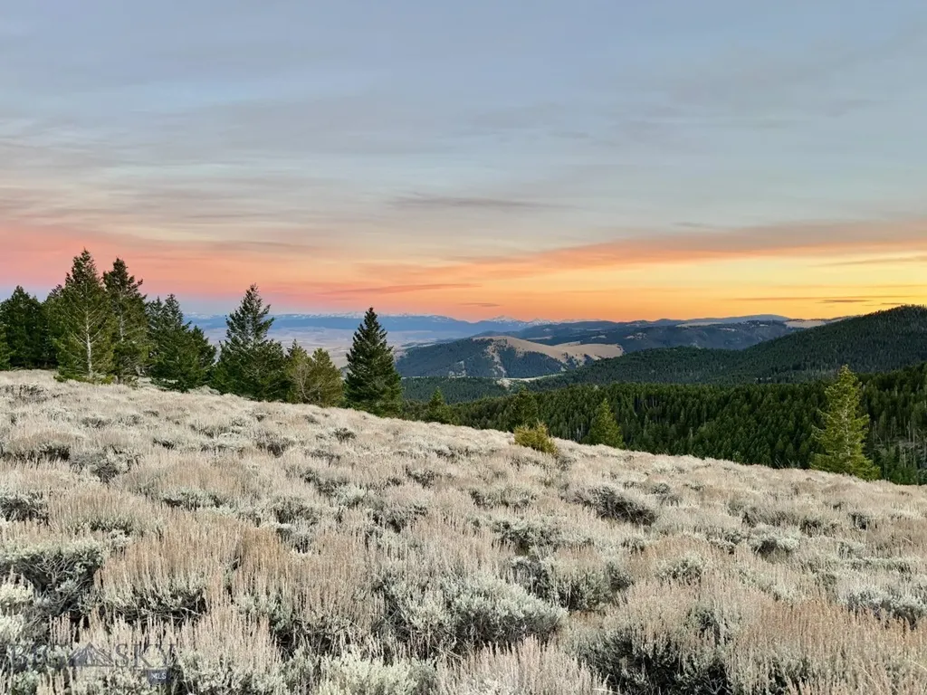 Nhn (160 Acres) Charcoal Creek Pony MT 59747