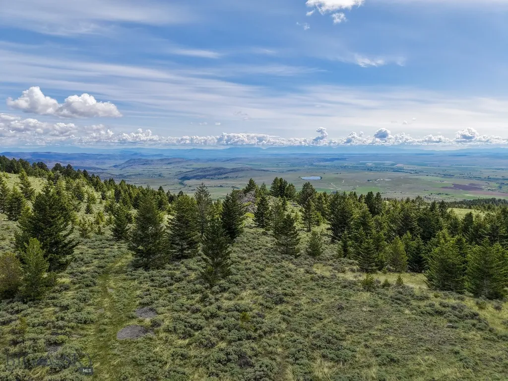 Nhn (160 Acres) Charcoal Creek Pony MT 59747