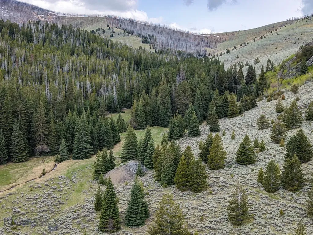 Nhn (160 Acres) Charcoal Creek Pony MT 59747