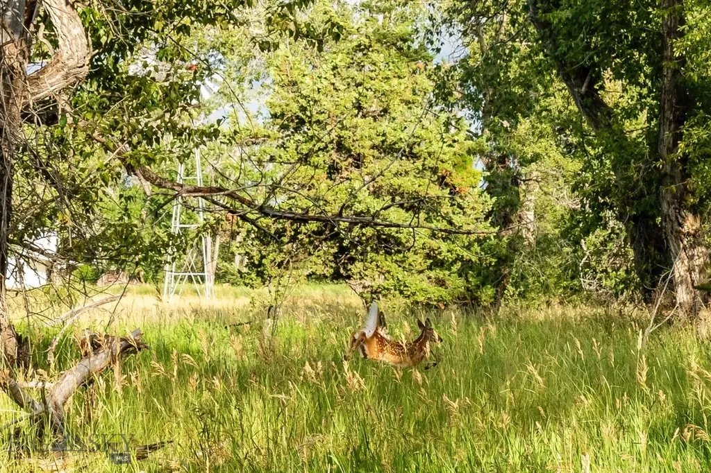 Lot 15 A Tbd Riverway Road Belgrade MT 59714