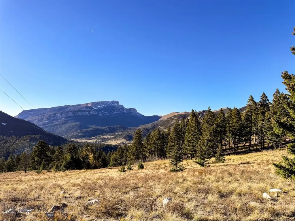 3528 Table Mountain Road Augusta MT 59410