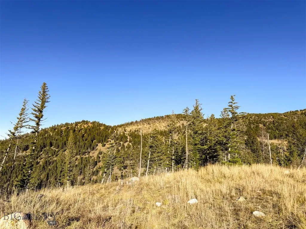 3528 Table Mountain Road Augusta MT 59410