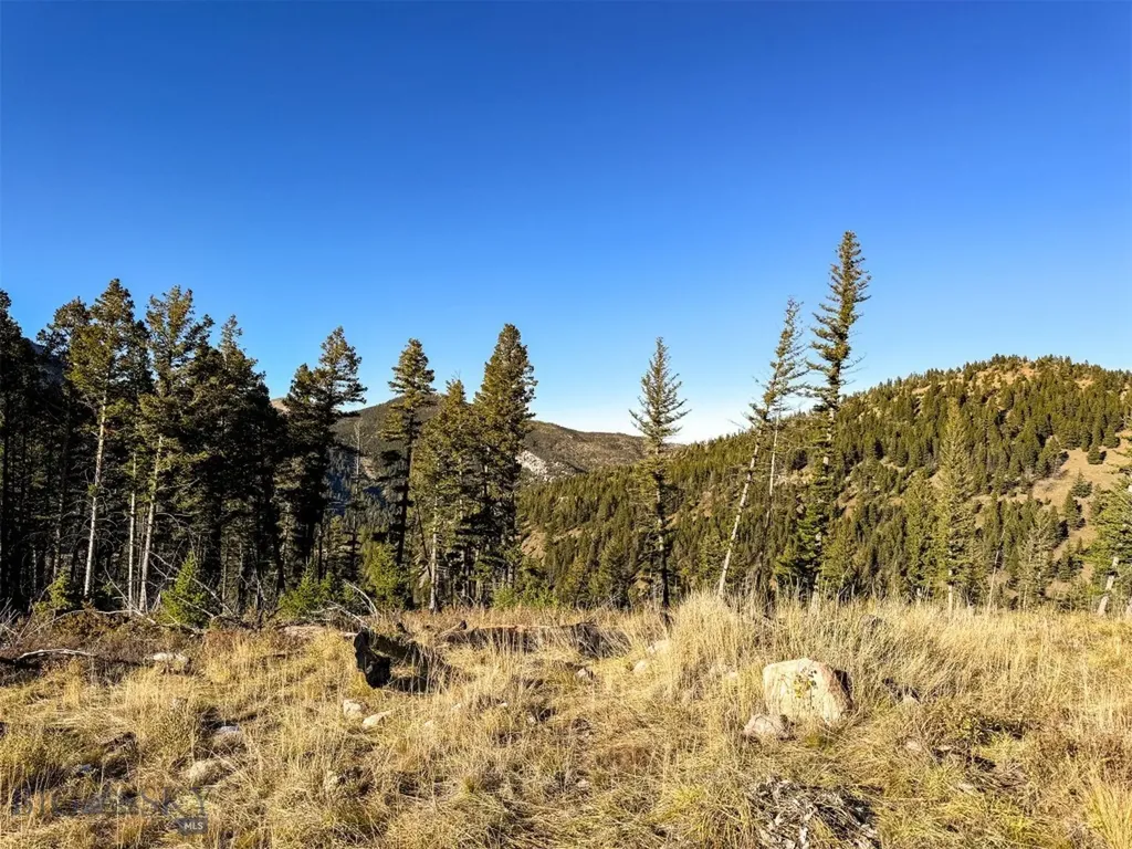 3528 Table Mountain Road Augusta MT 59410