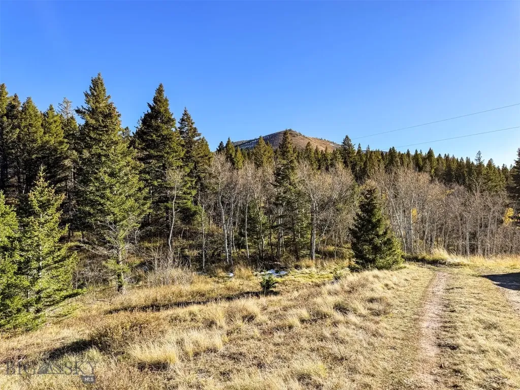 3528 Table Mountain Road Augusta MT 59410