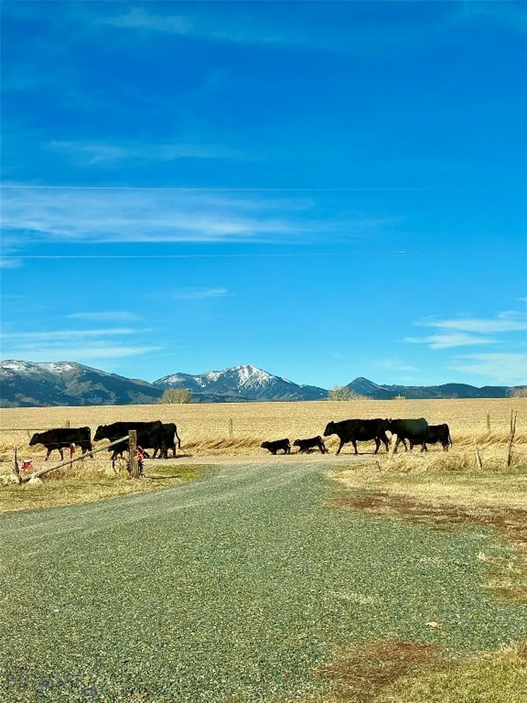 37 Norwegian Creek Road Harrison MT 59735